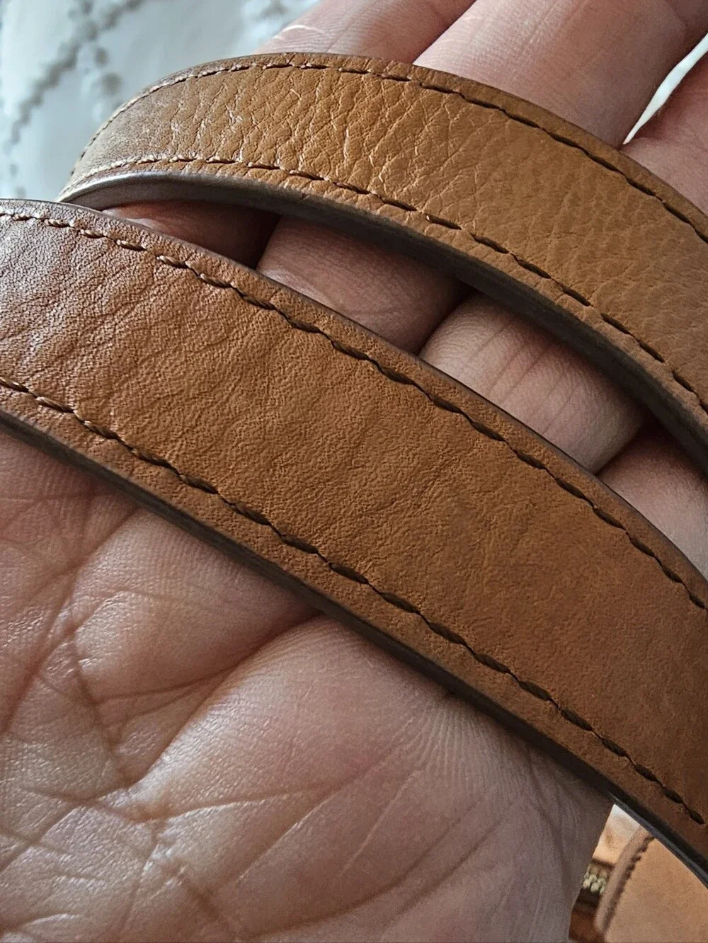 Fossil Beige and Brown Tote Bag